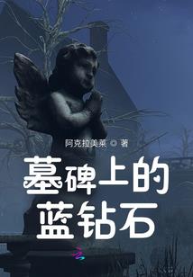 西安奥雪东梅