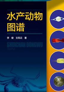 苍溪初级会计就业