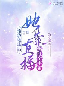编制会计分录数字