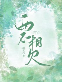 运城市财政预算执行