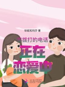 融资会计简历