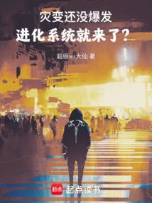 所得税会计采用