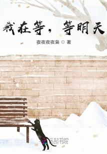 奥托冰皇海波东
