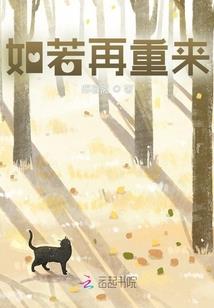 壮拳财税