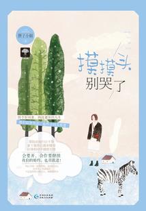 河北省会计年检