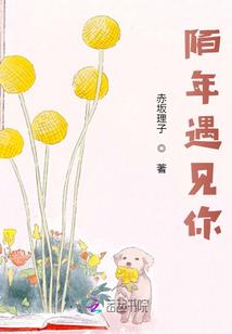 电梯安装使用的会计分录