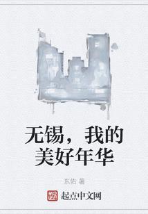 会计技能n