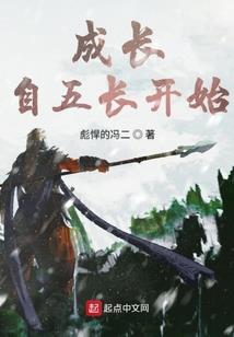电网财政