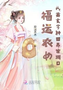 会计做帐报税