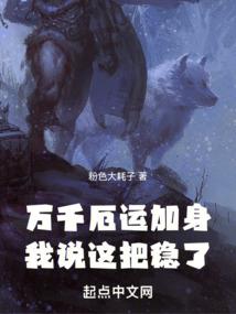杨辉高级会计师