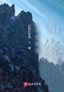恒大奥东户型