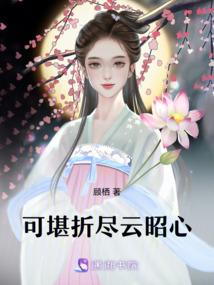 初级会计师讲堂视频全集