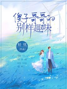 上海好歌财税公司