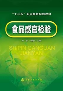 输入会计原则