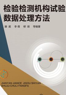 观众看东奥会烟花视频