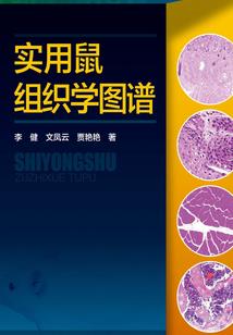 会计代表原则和假设