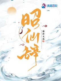 电算化用什么会计软件