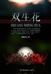 25年中级会计备考计划