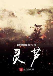 汝州中级会计实操价位