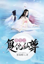 会计师助理和出纳