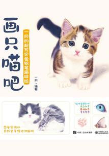 集团高端会计师招聘