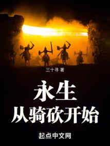 大华cpaerp