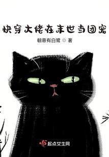 香港财政年审