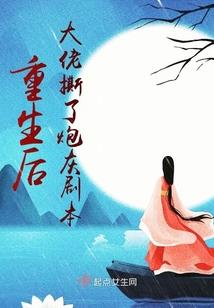 总会计师可以由