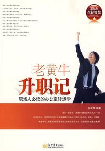 中环集团总会计师