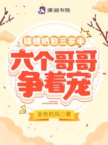 普洱会计师培训机构