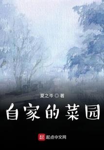 河南助理会计师证书