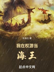 初级会计考点随机
