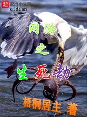 中级会计固定预算