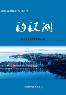 新希望会计