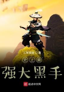 有初级会计考注会