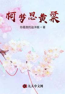 陕西会计师考试报考