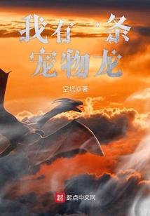 CPA报考不限专业吗