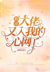 通过初级会计考试的说说