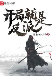 大华财税7