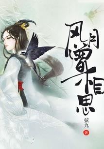 工科cpa司考找工作