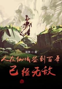 总会计师权限有