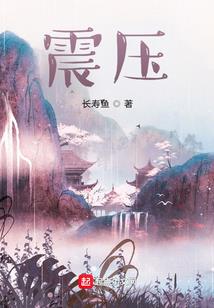 合肥财税专家