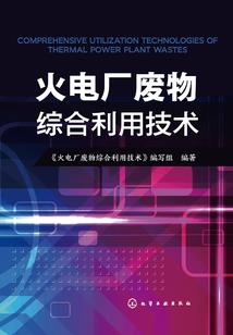 会计师盗取公款