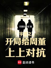 个税申报初级会计怎么填