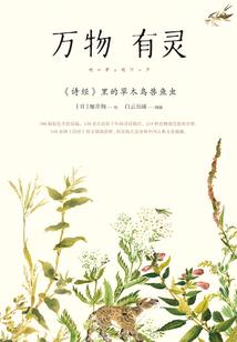 镇龙预算会计