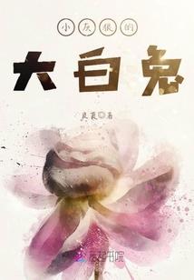 苏宁cpa后台