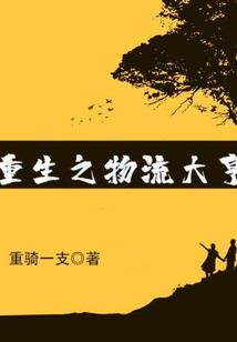 被注册会计师诈骗