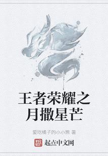 沈阳初级会计报名费用