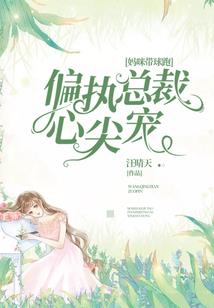 cpa财务总监经验