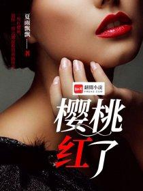 会计综合实训